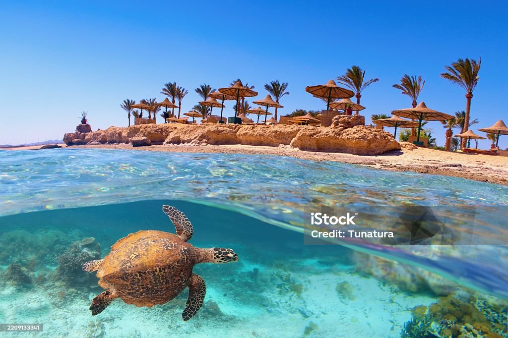 Marsa Alam