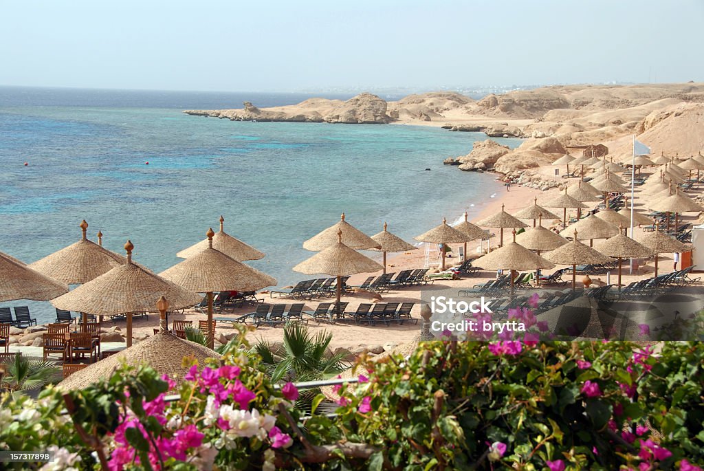 L'égypte